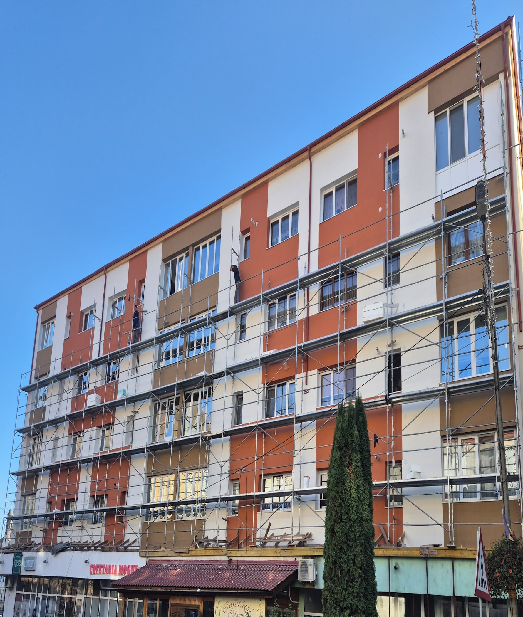servicii consultanta